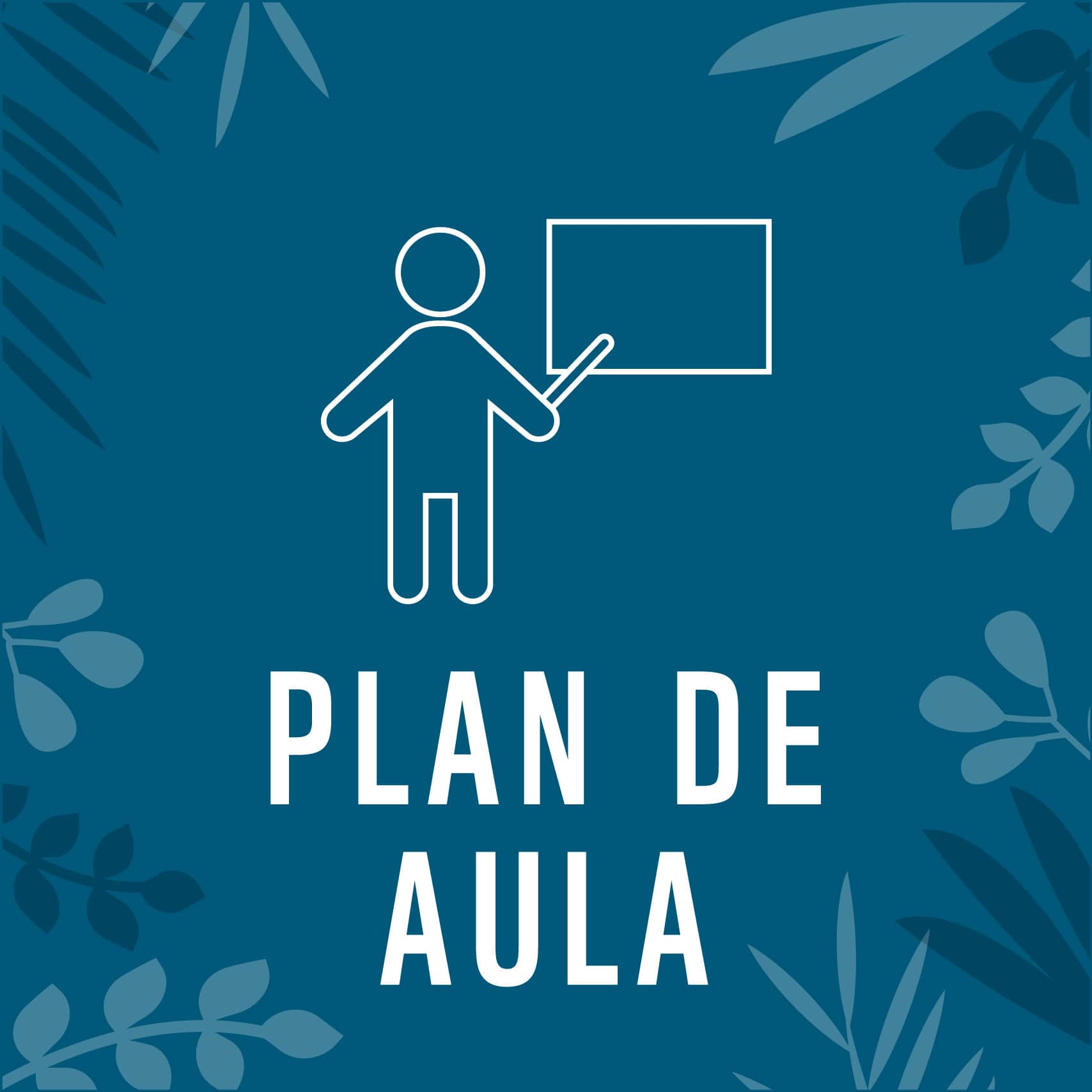 Plan de aula