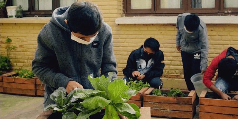 Niños cultivando hortalizas