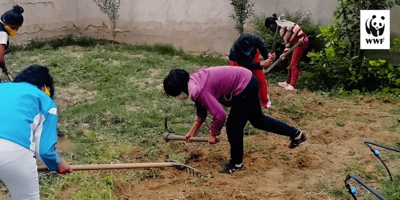 Red de HUERTOS URBANOS en Tarija