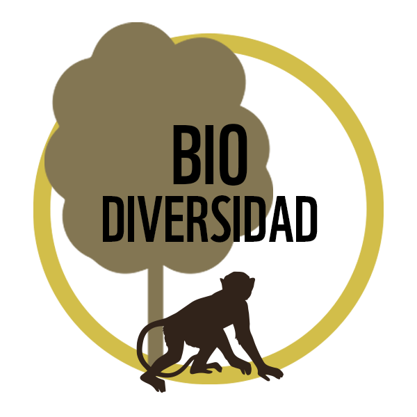 Los pisos ecológicos de Bolivia