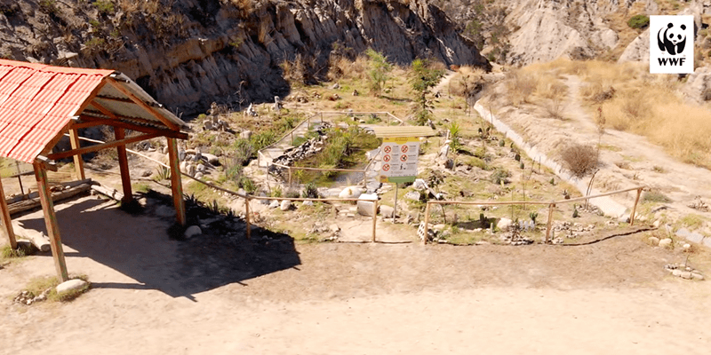 Laguna recuperada de anfibios - Sendero de Alto Obrajes La Paz