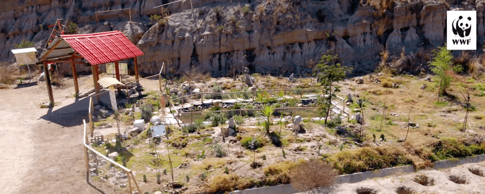 Laguna recuperada de anfibios - Sendero de Alto Obrajes La Paz